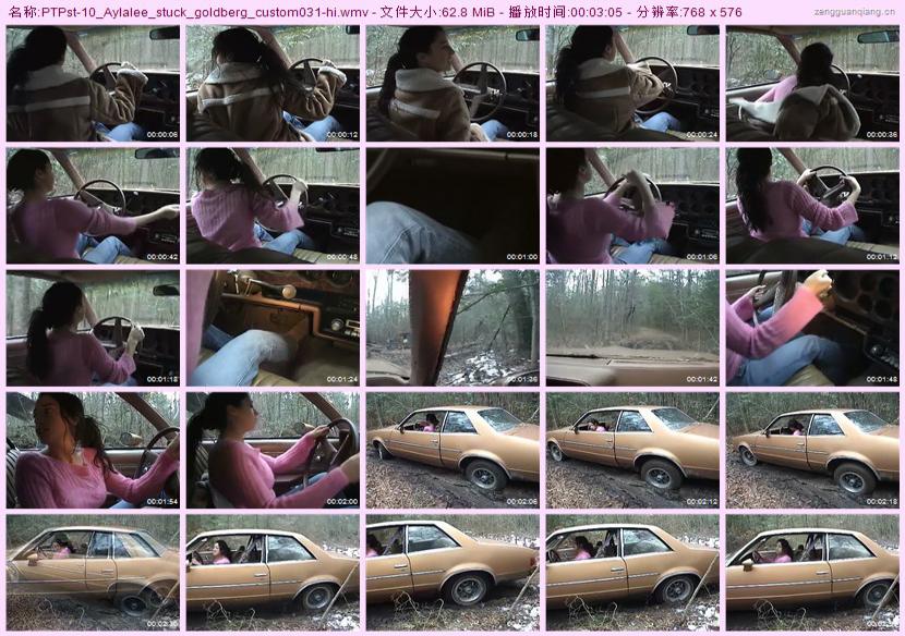 ptpst-10_Aylalee_stuck_goldberg_custom031